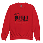 LITTLE STEM ACADEMY Youth Crewneck Sweatshirt